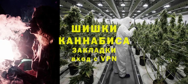 гидра Алексин