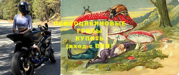 гидра Алексин