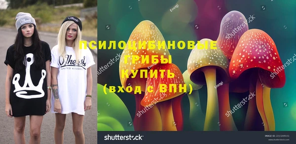 СК Алзамай
