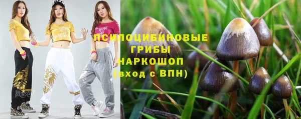 молекула духа Аркадак