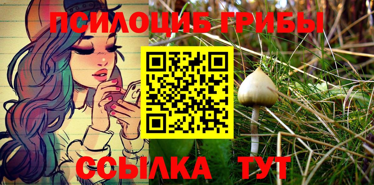 Галлюциногенные грибы MAGIC MUSHROOMS  Вход с VPN  Ухта 